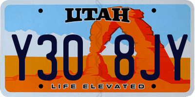 UT license plate Y308JY