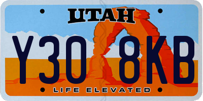 UT license plate Y308KB