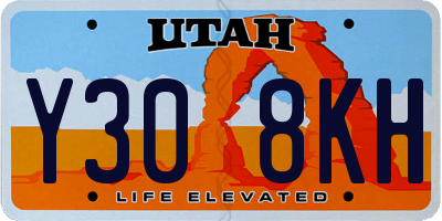 UT license plate Y308KH