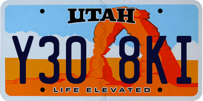 UT license plate Y308KI