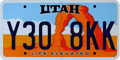 UT license plate Y308KK