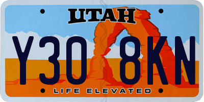 UT license plate Y308KN