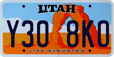 UT license plate Y308KO