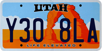 UT license plate Y308LA