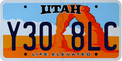 UT license plate Y308LC