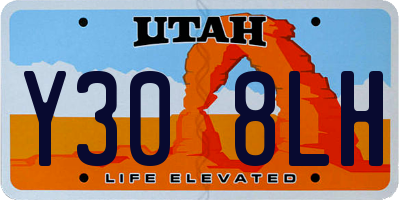 UT license plate Y308LH