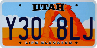 UT license plate Y308LJ