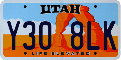 UT license plate Y308LK
