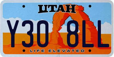 UT license plate Y308LL