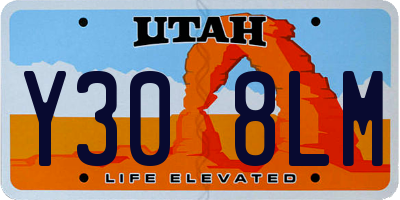UT license plate Y308LM
