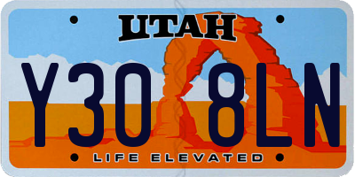 UT license plate Y308LN