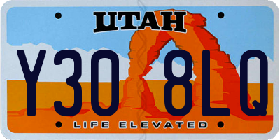 UT license plate Y308LQ