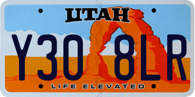 UT license plate Y308LR