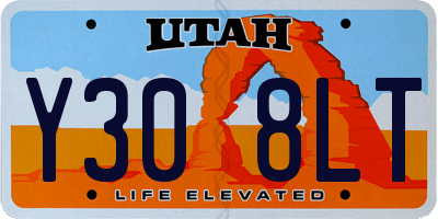 UT license plate Y308LT