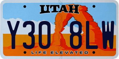 UT license plate Y308LW