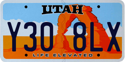 UT license plate Y308LX