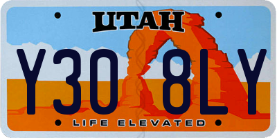 UT license plate Y308LY