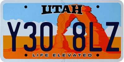 UT license plate Y308LZ