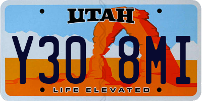 UT license plate Y308MI