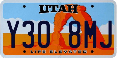 UT license plate Y308MJ