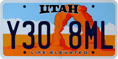 UT license plate Y308ML