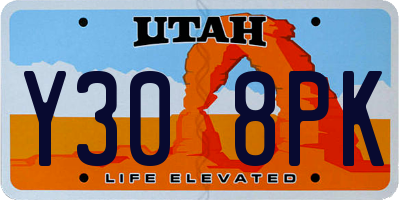 UT license plate Y308PK