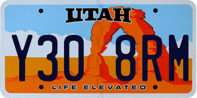 UT license plate Y308RM