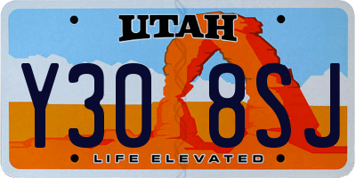 UT license plate Y308SJ
