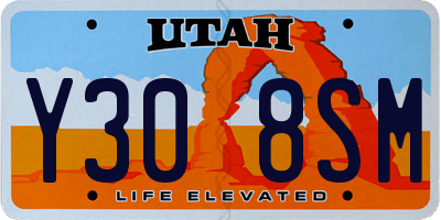 UT license plate Y308SM