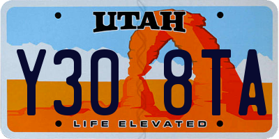 UT license plate Y308TA