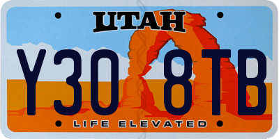 UT license plate Y308TB