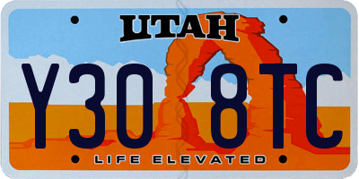 UT license plate Y308TC