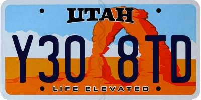 UT license plate Y308TD