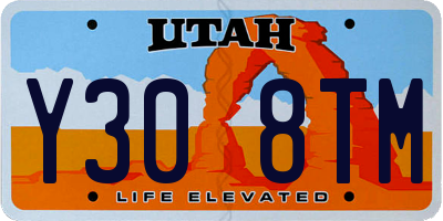UT license plate Y308TM