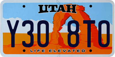 UT license plate Y308TO