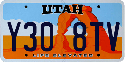 UT license plate Y308TV