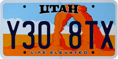 UT license plate Y308TX