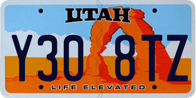 UT license plate Y308TZ