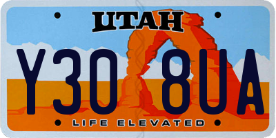 UT license plate Y308UA