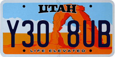 UT license plate Y308UB