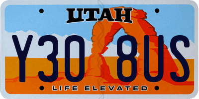 UT license plate Y308US