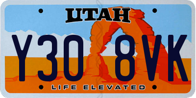 UT license plate Y308VK