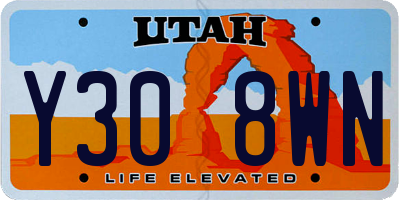 UT license plate Y308WN