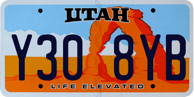 UT license plate Y308YB