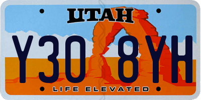 UT license plate Y308YH