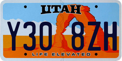 UT license plate Y308ZH