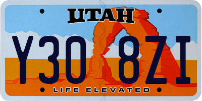 UT license plate Y308ZI