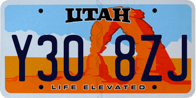 UT license plate Y308ZJ