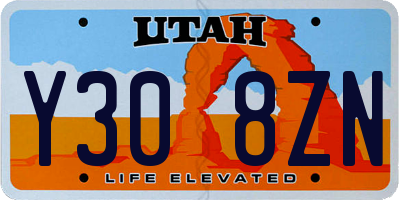UT license plate Y308ZN