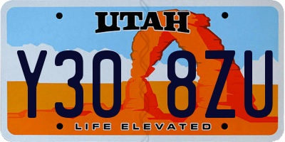 UT license plate Y308ZU